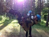 Команда аварийно-спасательного отряда TERRA INCOGNITA приняла участие во всероссийском чемпионате студотрядов по спасательным работам