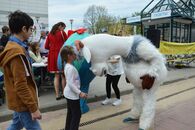 II Международный фестиваль «Козловы всех стран, объединяйтесь!»