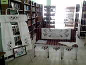 В Научной библиотеке ТвГУ открылась выставка «Тверская гладь»