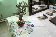 В Научной библиотеке ТвГУ открылась выставка «Тверская гладь»