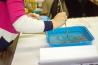 Мастер-класс «Старинные способы окрашивания бумаги»