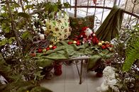 Рождественская гостиная в Ботаническом саду ТвГУ