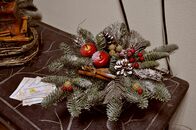 Рождественская гостиная в Ботаническом саду ТвГУ