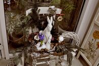 Рождественская гостиная в Ботаническом саду ТвГУ