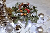 Рождественская гостиная в Ботаническом саду ТвГУ