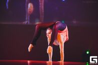 "Студвесна 2014". Гала-концерт