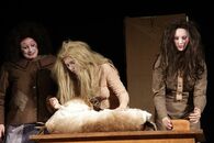 Спектакль «Der Biberpelz» («Бобровая шуба») немецкоязычной труппы Dittchenbuhne