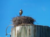 Новый велопоход сборной ТвГУ по лыжным гонкам