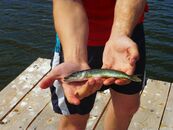 Новый велопоход сборной ТвГУ по лыжным гонкам