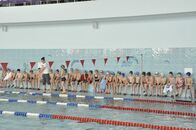 Первенство по плаванию бассейна ПАРУС