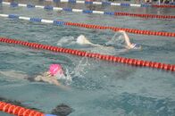 Первенство по плаванию бассейна ПАРУС