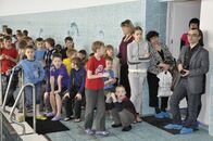 Первенство по плаванию бассейна ПАРУС