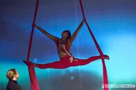 Студенческая весна - 2016. Факультетские программы. День 3