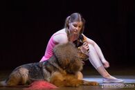 Студенческая весна - 2016. Факультетские программы. День 2