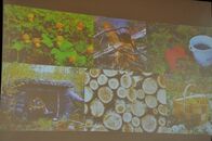 Студенческий вечер межкультурной коммуникации «Давайте познакомимся»