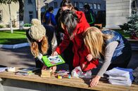 Сбор макулатуры «Самый чистый факультет ТвГУ»