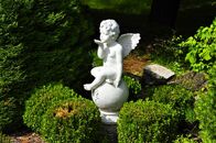 Солнечный день в Ботаническом саду ТвГУ глазами университетского фотографа В.Ф.  Леонова