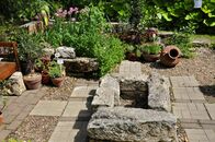 Солнечный день в Ботаническом саду ТвГУ глазами университетского фотографа В.Ф.  Леонова