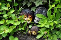 Солнечный день в Ботаническом саду ТвГУ глазами университетского фотографа В.Ф.  Леонова