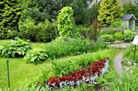 Солнечный день в Ботаническом саду ТвГУ глазами университетского фотографа В.Ф.  Леонова