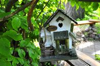 Солнечный день в Ботаническом саду ТвГУ глазами университетского фотографа В.Ф.  Леонова