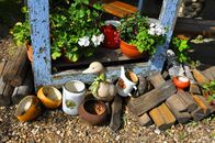 Солнечный день в Ботаническом саду ТвГУ глазами университетского фотографа В.Ф.  Леонова