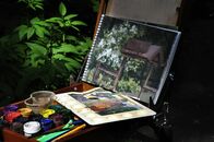 Солнечный день в Ботаническом саду ТвГУ глазами университетского фотографа В.Ф.  Леонова