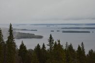 Студенты биологического и химико-технологического факультетов на практике в Финляндии