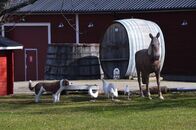 Студенты биологического и химико-технологического факультетов на практике в Финляндии