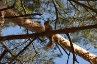 Студенты биологического и химико-технологического факультетов на практике в Финляндии