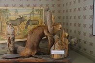 Студенты биологического и химико-технологического факультетов на практике в Финляндии