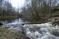 Студенты биологического и химико-технологического факультетов на практике в Финляндии