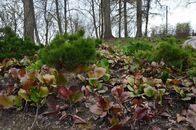 Студенты биологического и химико-технологического факультетов на практике в Финляндии