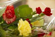 Праздничный концерт "Литературная память поколений"