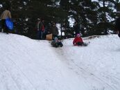 День здоровья — 2007