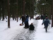 День здоровья — 2007