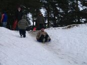 День здоровья — 2007