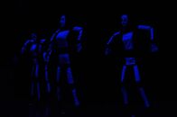 "Студвесна 2013": биологический факультет