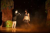 "Студвесна 2013": факультет прикладной математики и кибернетики