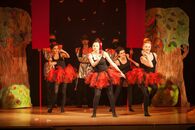 "Студвесна 2013": факультет прикладной математики и кибернетики