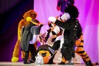 «Студвесна-2013»: юридический факультет