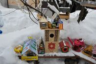 Традиционный семейный праздник «Птичья столовая»