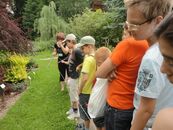 "ИнНОлето - 2012"