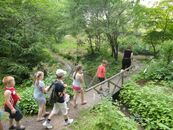 "ИнНОлето - 2012"