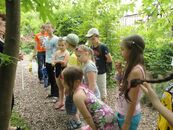 "ИнНОлето - 2012"