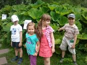 "ИнНОлето - 2012"