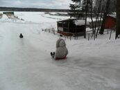 Физкультурно-оздоровительные меропрития со студентами на базе "Верхневолжская" 2012 г.