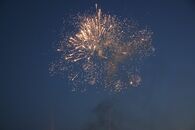 День российского студенчества