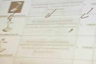 УНИВЕРСИТЕТ – РЕГИОНУ