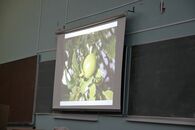 Отчетная конференция "Кремниевая долина"